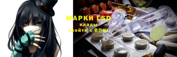 трава Белокуриха