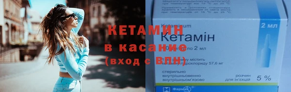 трава Белокуриха