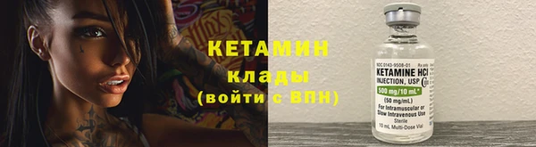 трава Белокуриха