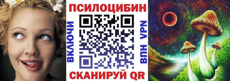 купить закладку  Невель  Псилоцибиновые грибы мицелий 