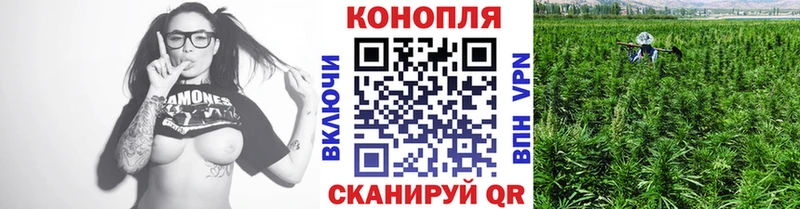 закладки Невель Конопля AK-47